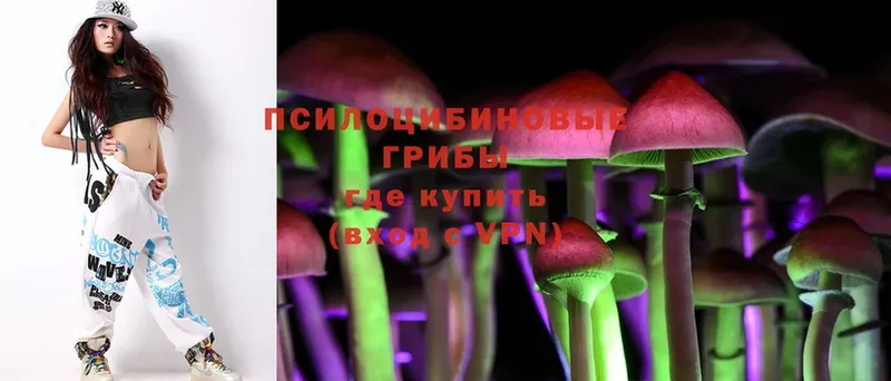 KRAKEN онион  Калтан  Галлюциногенные грибы Psilocybe 